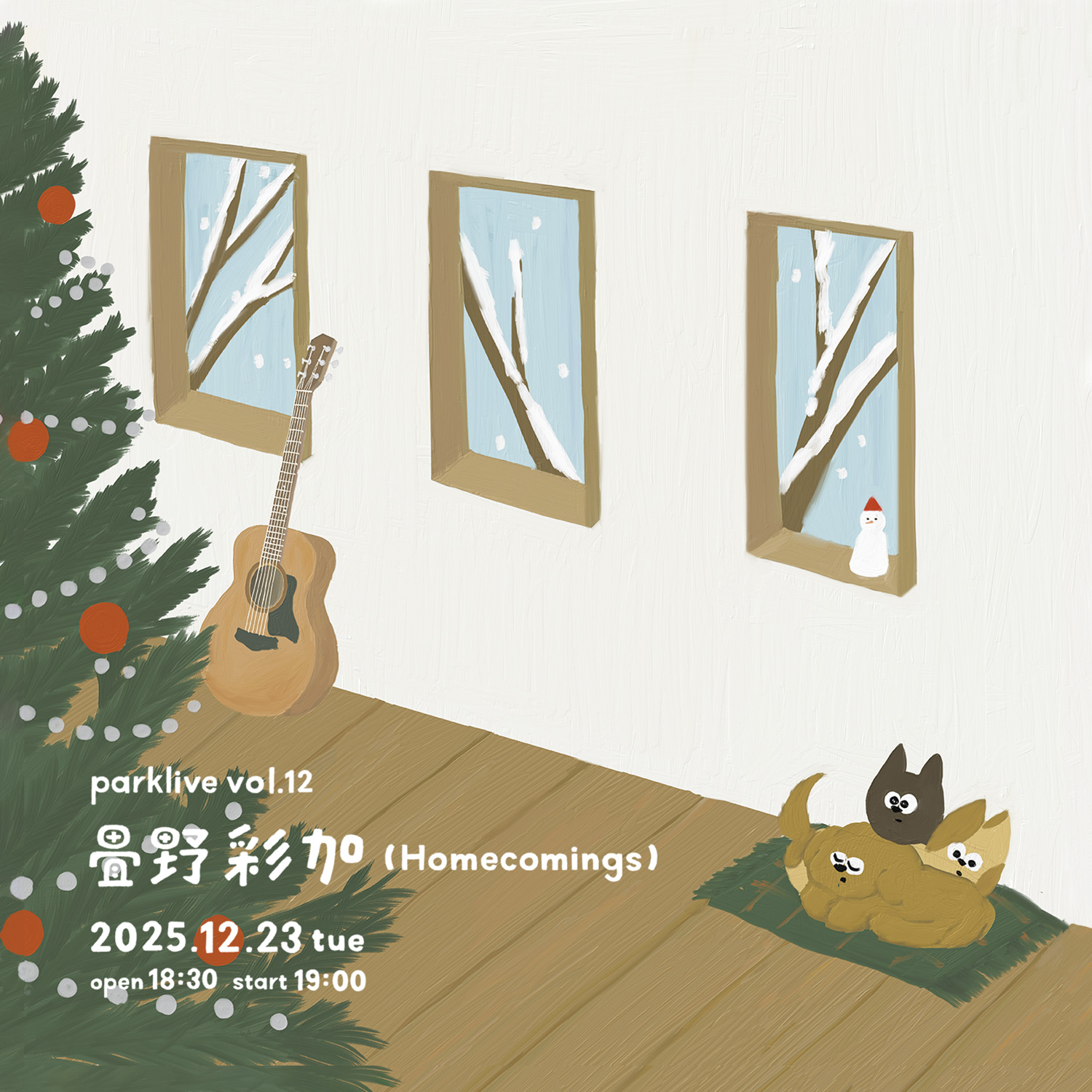 NSSG | 2025.12.23 parklive vol.12 畳野彩加（Homecomings）