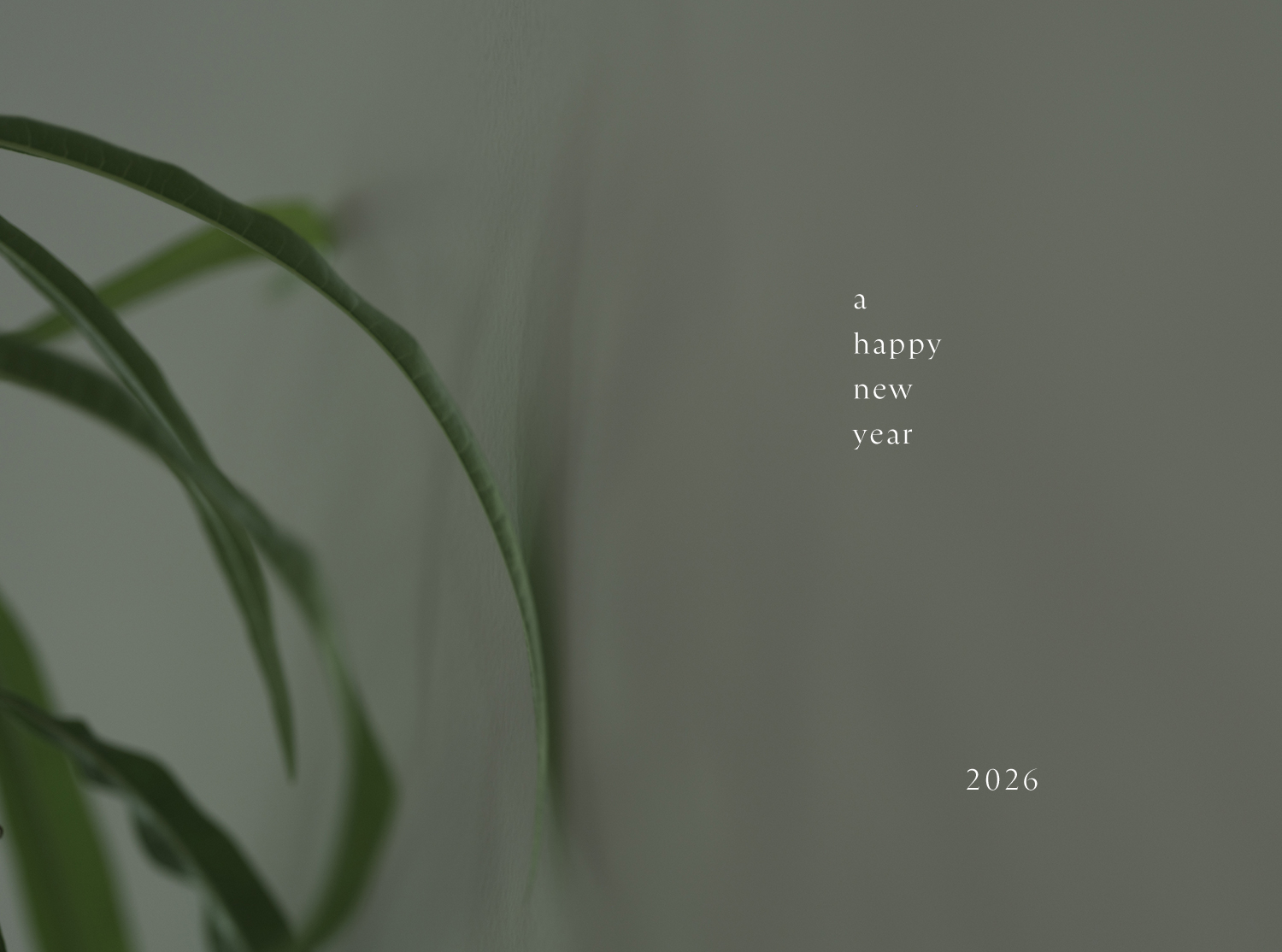 NSSG | 新年明けましておめでとうございます