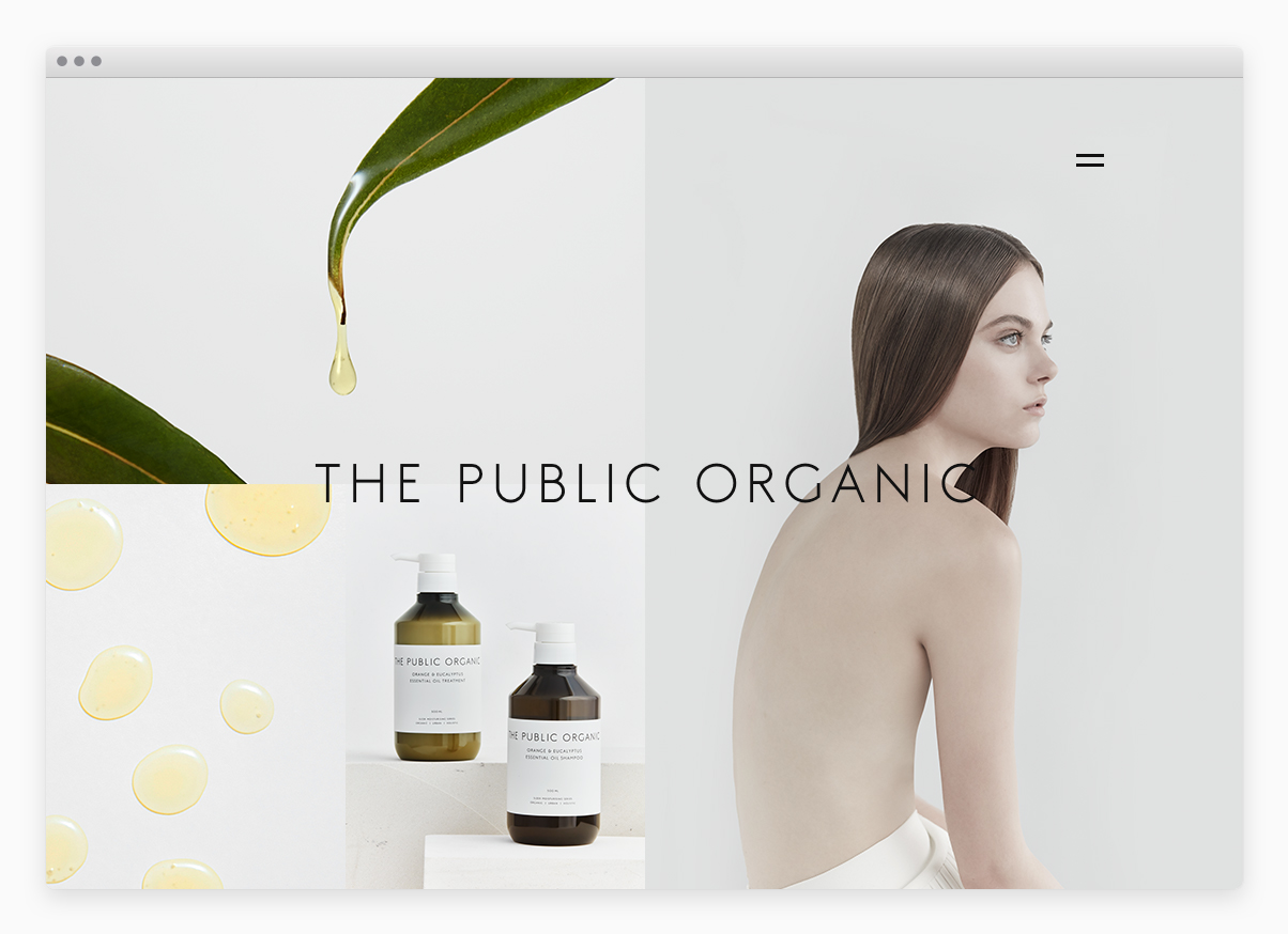 THE PUBLIC ORGANIC